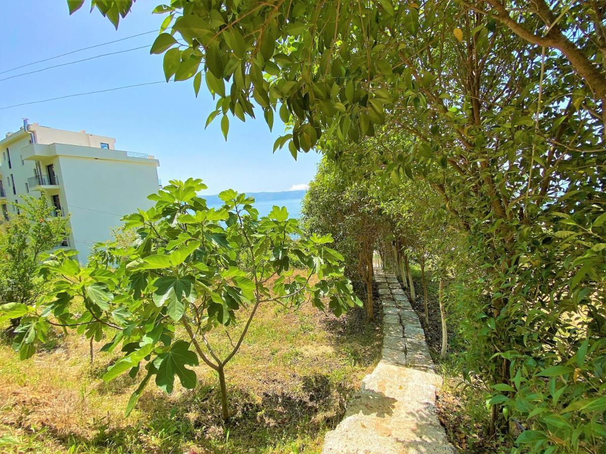 Ramo'S Cozy Beachside Haven With Panoramic Views - 1St Wlora Zewnętrze zdjęcie